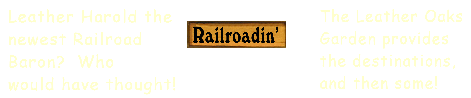 Rubber and Rawhide Railroad -- a Transportation System in Fantasy! !
