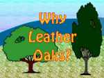 Why Leather Oaks?