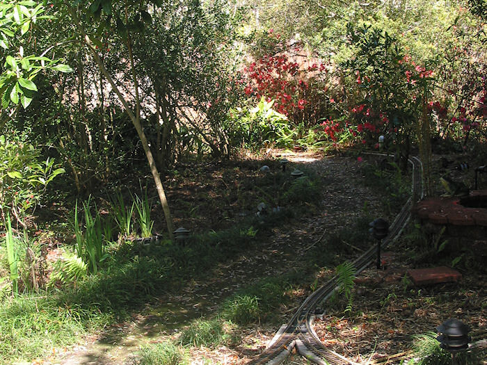 The Marshy Path and shady azaleas