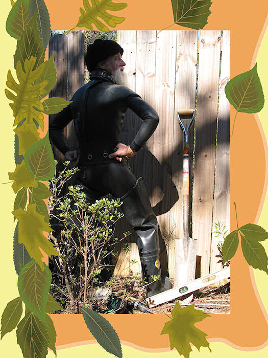 Looking back at life