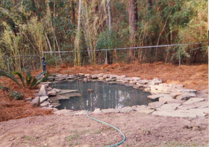 The LeatherOaks Pond is One Hour Old!