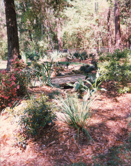 Front Porch Plantings