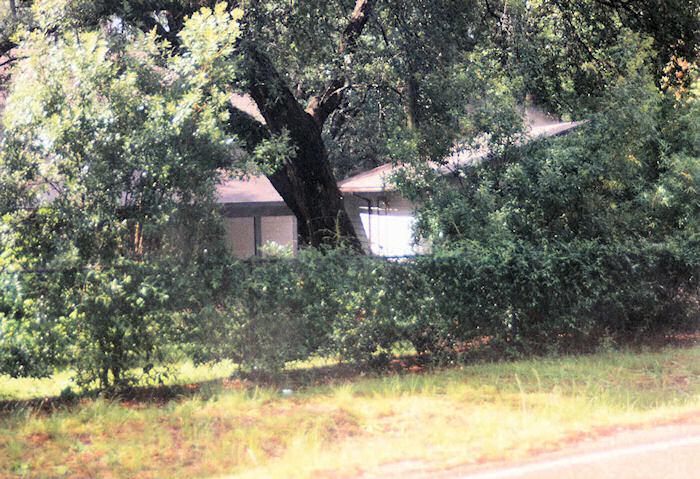 Privacy plantings working rapidly!