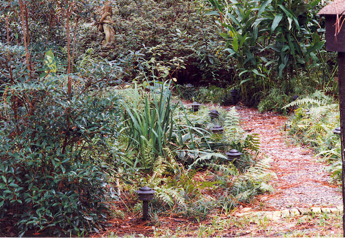 The Marshy Pathway