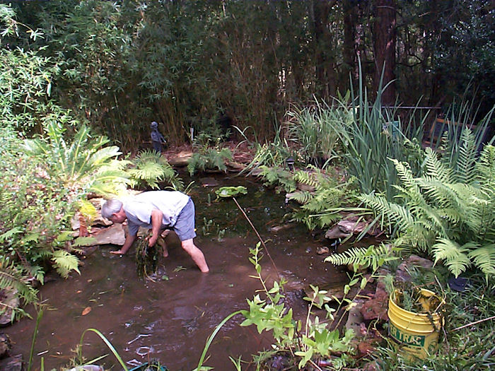 LeatherOaks Pond Operation Devegetation