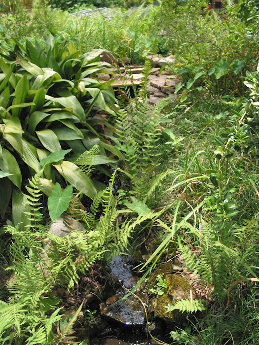 Fazzio Falls to Season's Springs