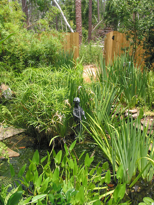 Leather Oaks Pond toward open gate