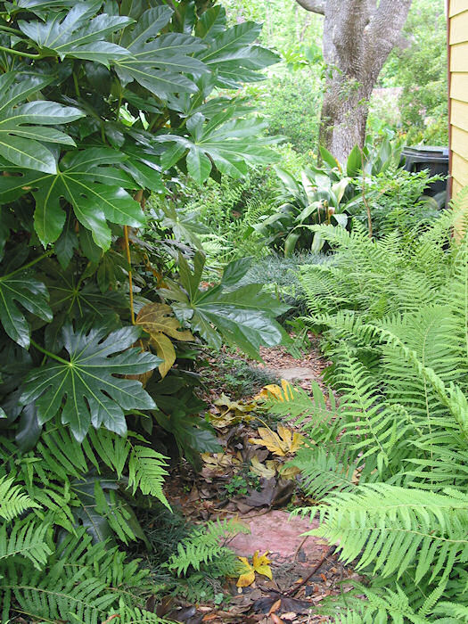 The Magic Portal Beckons yet Again!