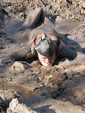 Our beard and back are spared!