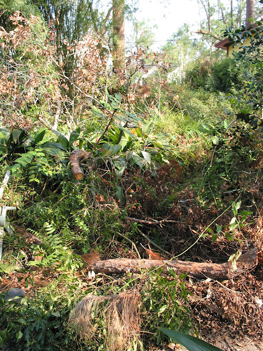 Season's Springs Still Covered