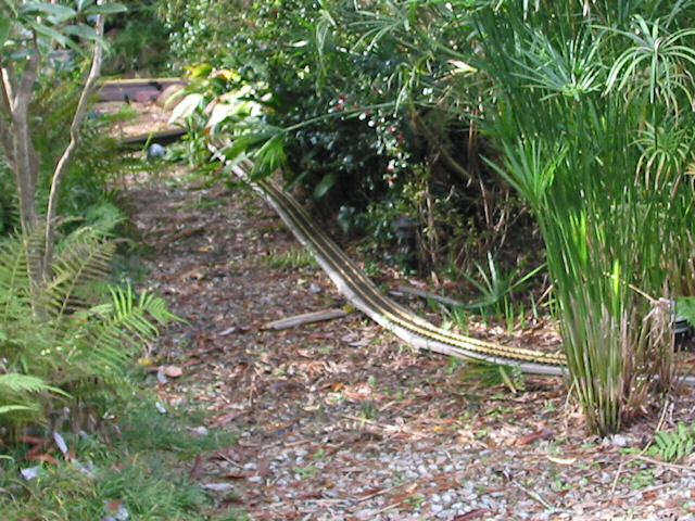 Perimeter Route viewed Westward