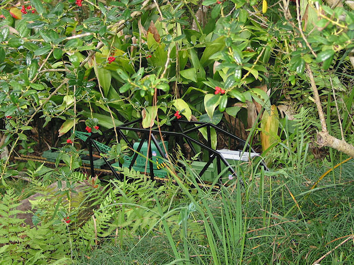 Bridge Building in Iron