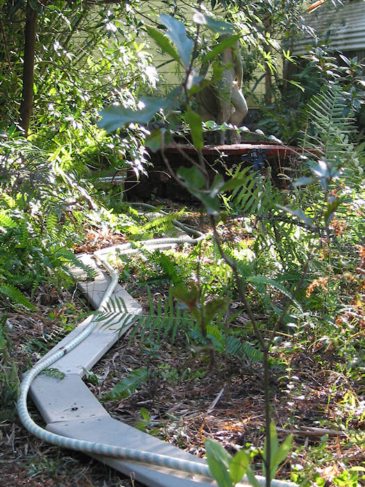 Beyond the Briars looking South