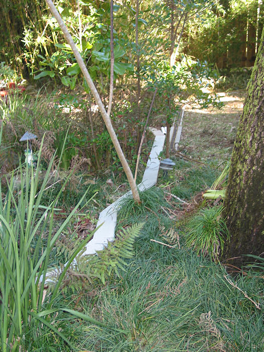 South Sago Palm Route