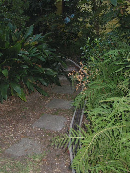 Phase II under Ferns