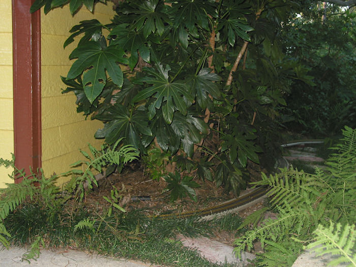 Phase II Magic Portal to Porch