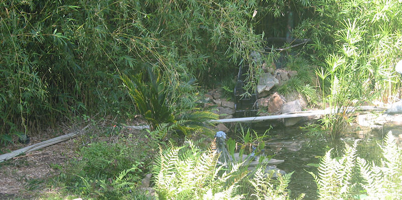 Frozen Frog Falls Bridge Landings Indentified