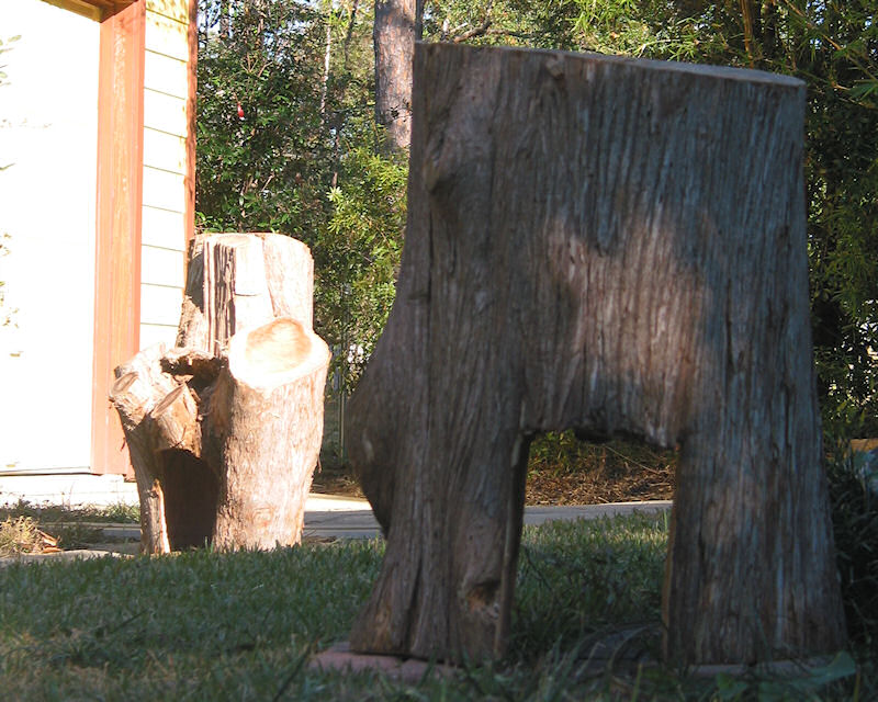 Cedar Lupus Tunnel Set!