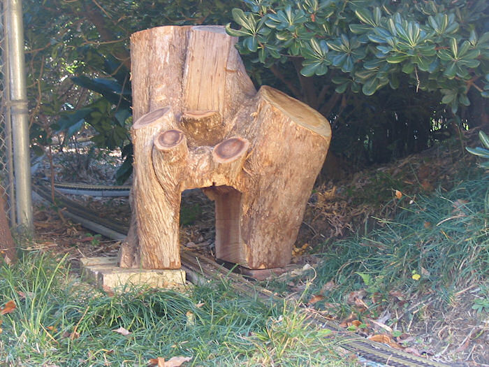 The Cedarman Groin Tunnel