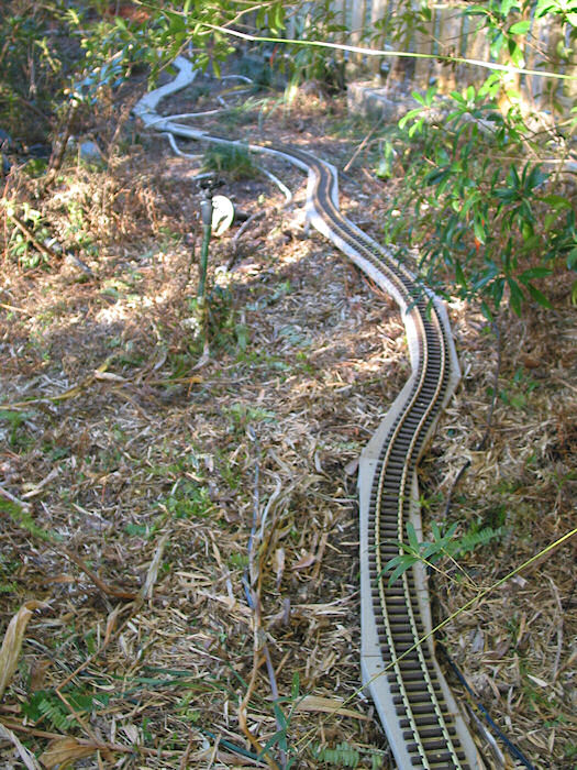 Today's Progress Reviewed