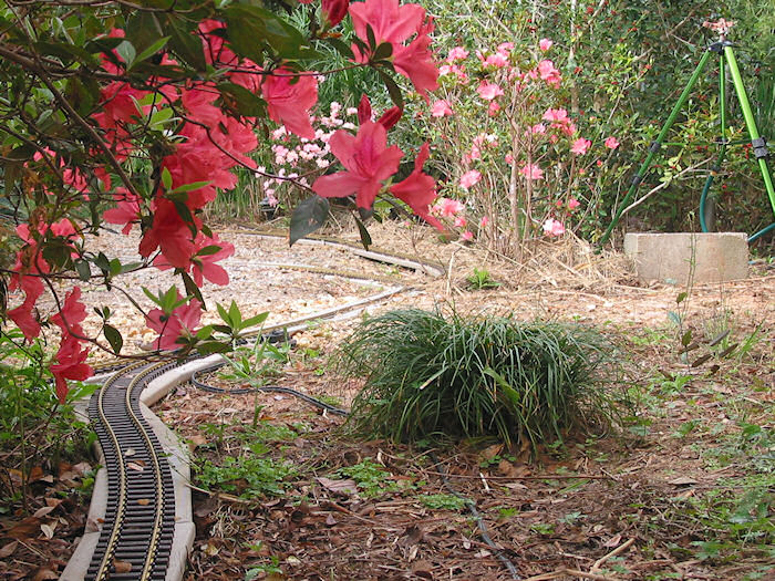 Azalea-shaded Trackage