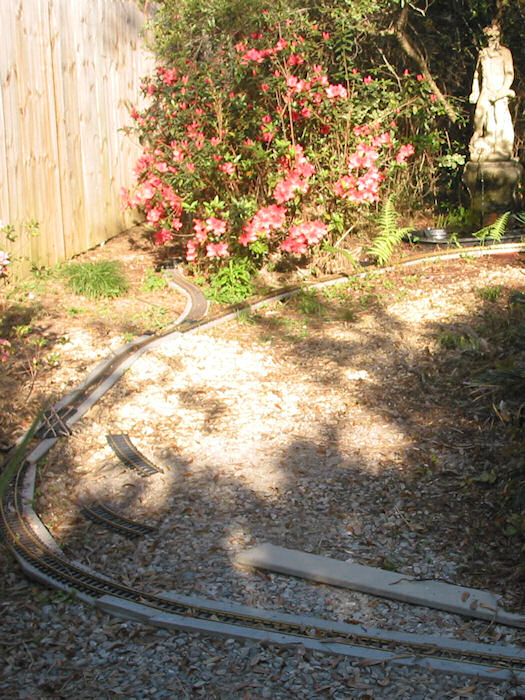Another Grade Crossing at Sago Palm?
