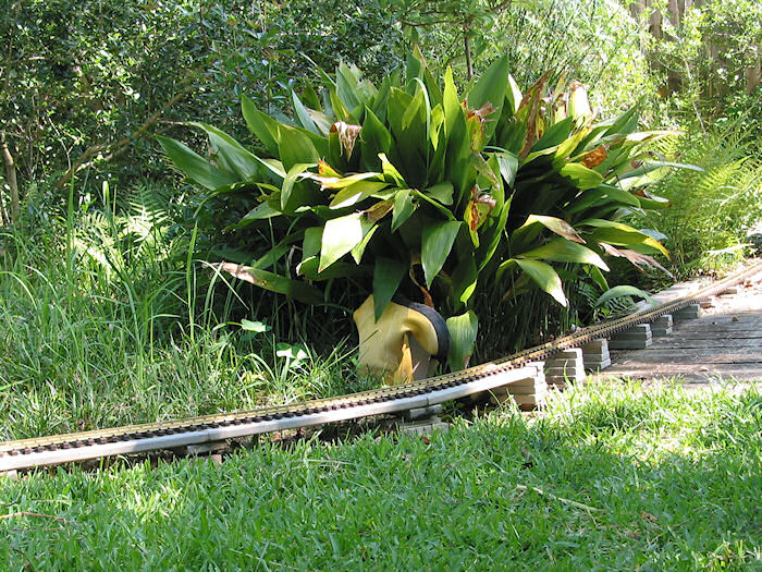 The Dried Bridge Crossing