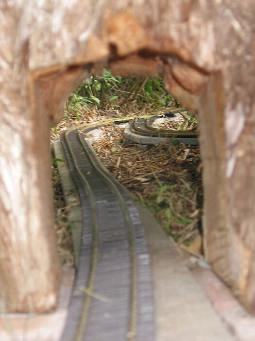 Through the Throat View