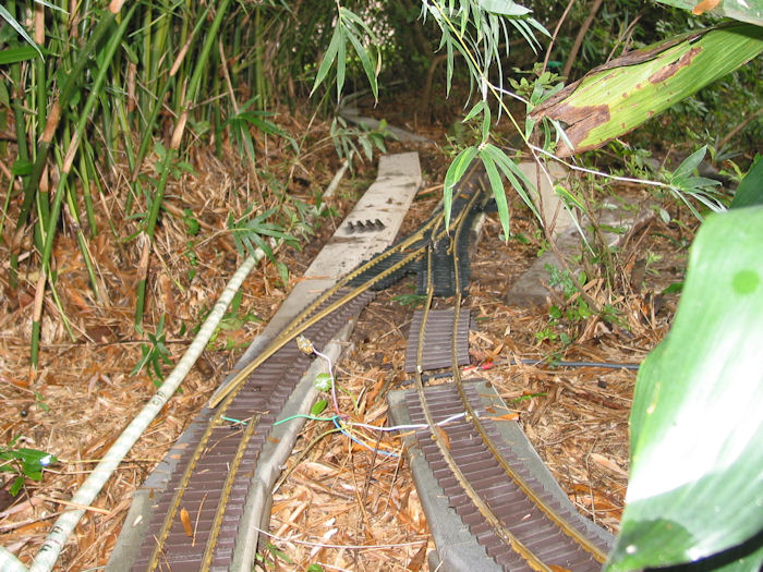 South Jupiter Switch Coming Out