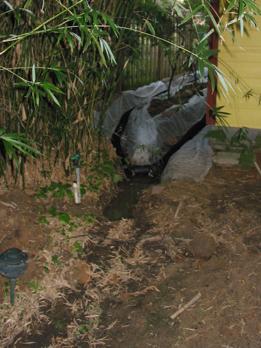 North Garage Yard View